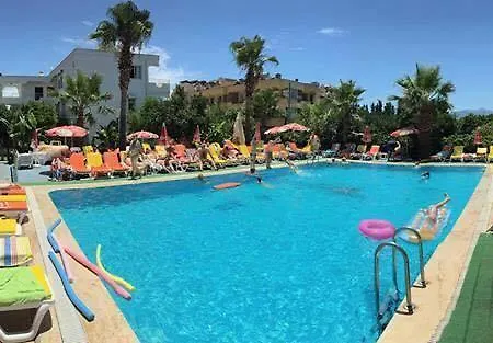 Sun Daire *